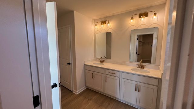 5360 Crinum Lilly Drive, Summerville, SC 29485