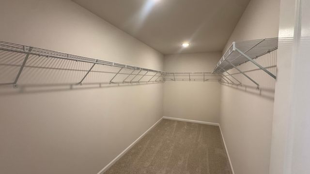 5360 Crinum Lilly Drive, Summerville, SC 29485