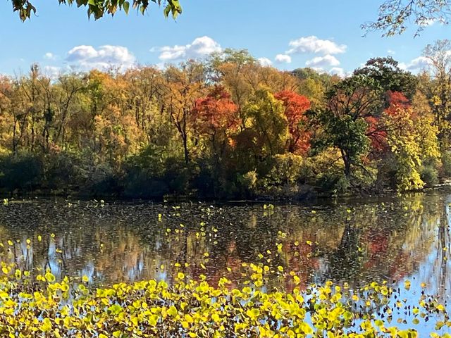 13273 Lake Point Boulevard, Van Buren Twp, MI 48111