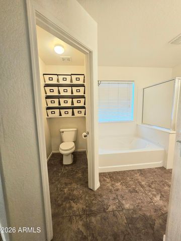 6862 S MORNING DEW Lane, Buckeye, AZ 85326
