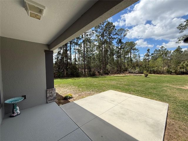 41180 BALSAM STREET, Eustis, FL 32736