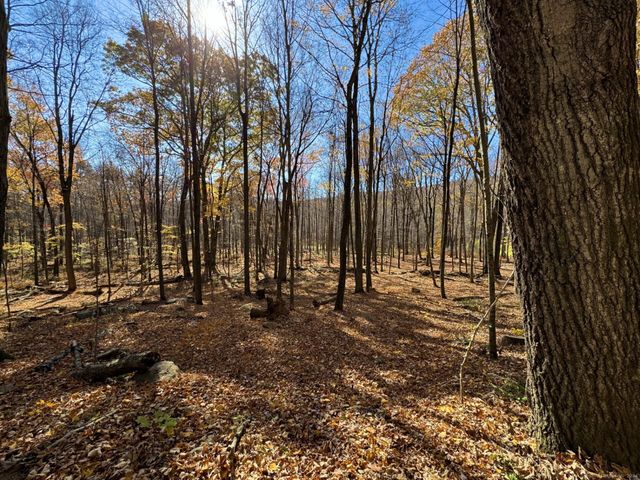 00 Upper Kent Hollow Road, Kent, CT 06757