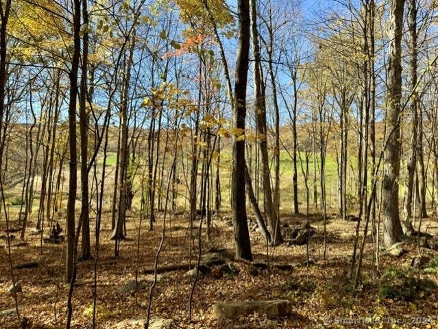00 Upper Kent Hollow Road, Kent, CT 06757