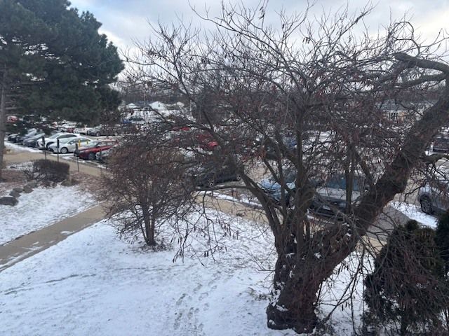 806 E Old Willow Road 211, Prospect Heights, IL 60070