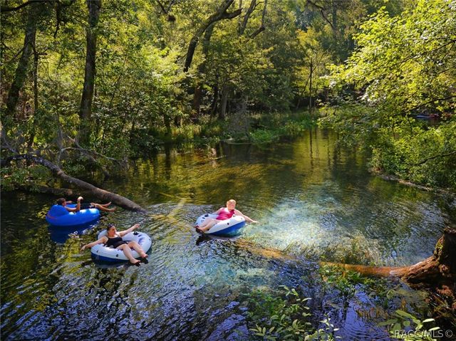 489 E Falconry Court, Hernando, FL 34442