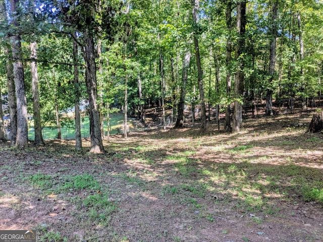 35 Paces Landing Lane, Newnan, GA 30263