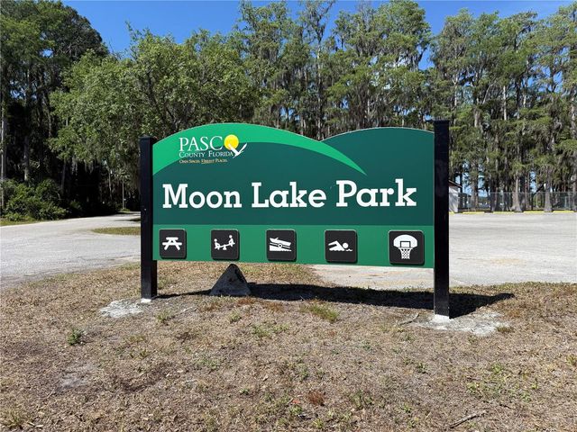 CODEL LOOP, New Port Richey, FL 34654