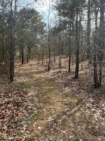 107 S BK 1401 Street, Stigler, OK 74462