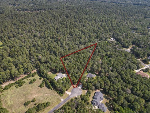 7715 Saddle Blanket Drive, Waller, TX 77484