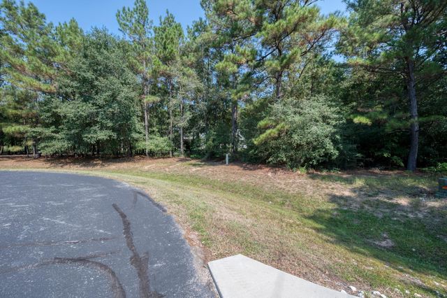 7715 Saddle Blanket Drive, Waller, TX 77484