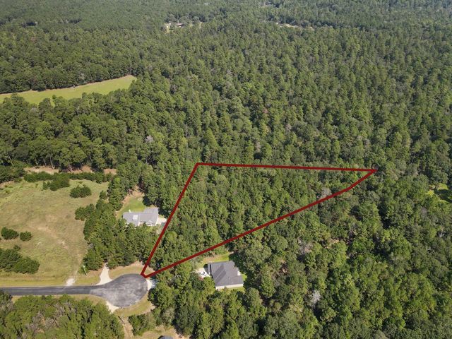 7715 Saddle Blanket Drive, Waller, TX 77484