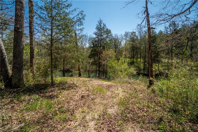 895 Flamingo Lane, Eureka Springs, AR 72631