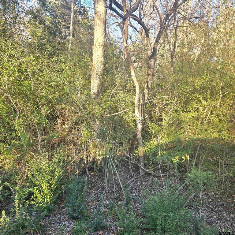 TBP ROLLINGWOOD HILLS DR, Bullard, TX 75757