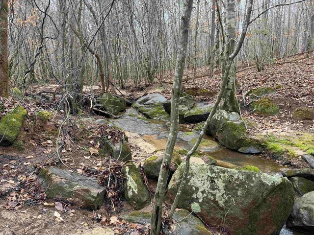 3465 Highway 92, Enoree, SC 29335