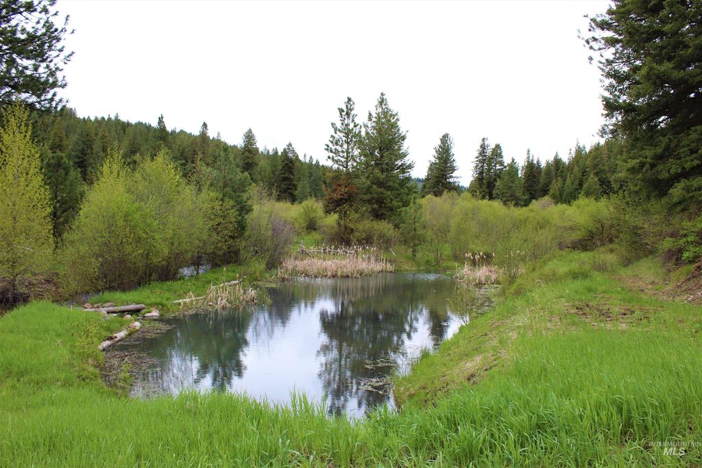 2950 Fish Lake Road, New Meadows, ID 83654 photo 50