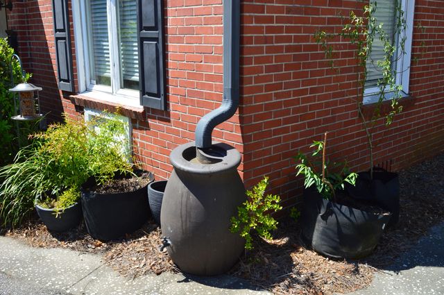 21 Hester Street 8, Charleston, SC 29403