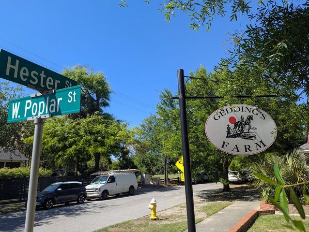 21 Hester Street 8, Charleston, SC 29403