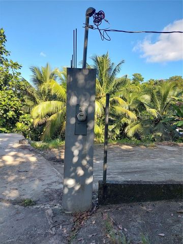 Carr. 181 km 13.9 BARRIO ESPINO, San Lorenzo, PR 00754