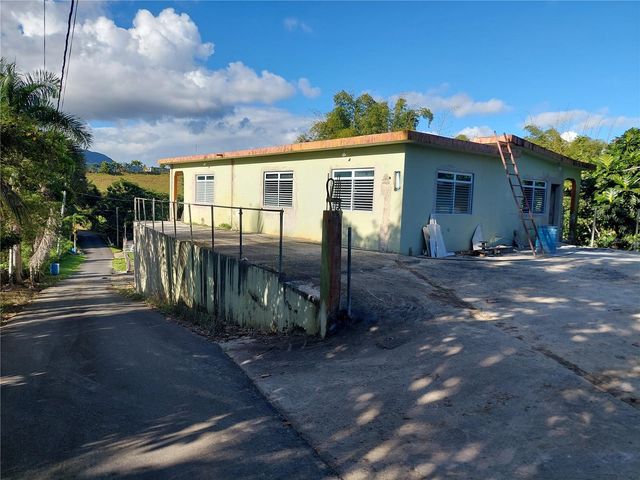 Carr. 181 km 13.9 BARRIO ESPINO, San Lorenzo, PR 00754