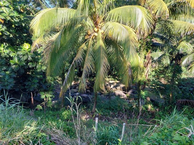 Carr. 181 km 13.9 BARRIO ESPINO, San Lorenzo, PR 00754