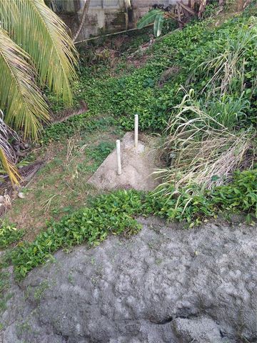 Carr. 181 km 13.9 BARRIO ESPINO, San Lorenzo, PR 00754