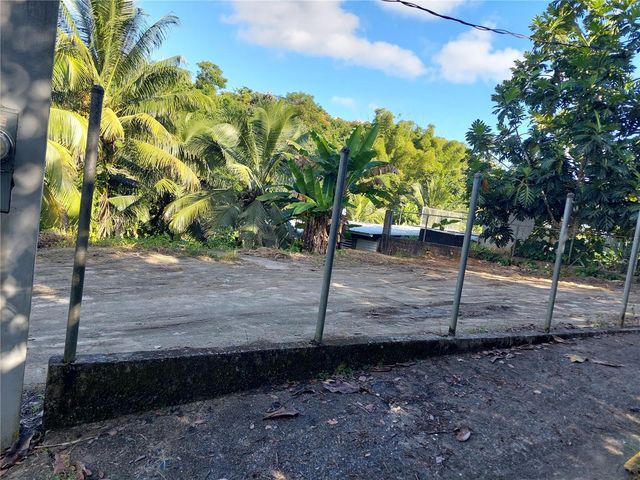 Carr. 181 km 13.9 BARRIO ESPINO, San Lorenzo, PR 00754