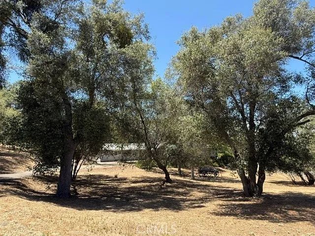 31116 Blue Heron, Coarsegold, CA 93614