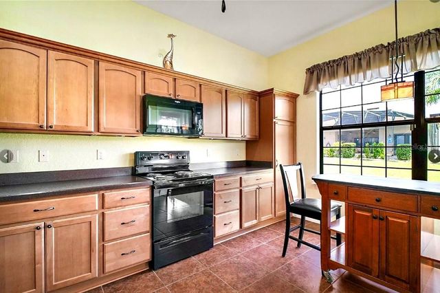 11041 SE 169TH PLACE, Summerfield, FL 34491