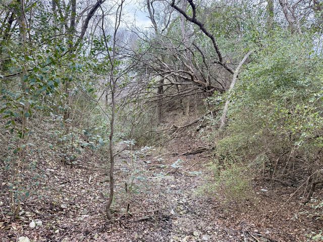 120 One Feather, Whitney, TX 76692