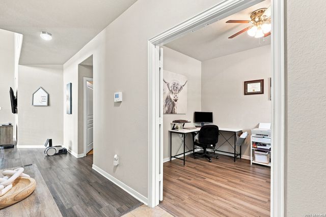 1842 Golden Maple, San Antonio, TX 78245