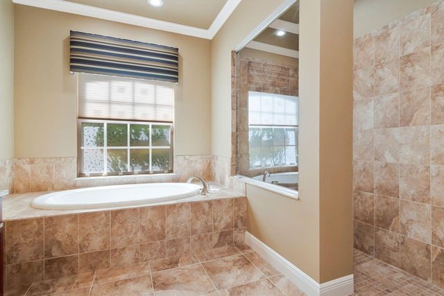 3815 MISTY WILLOW WAY, Lutz, FL 33558