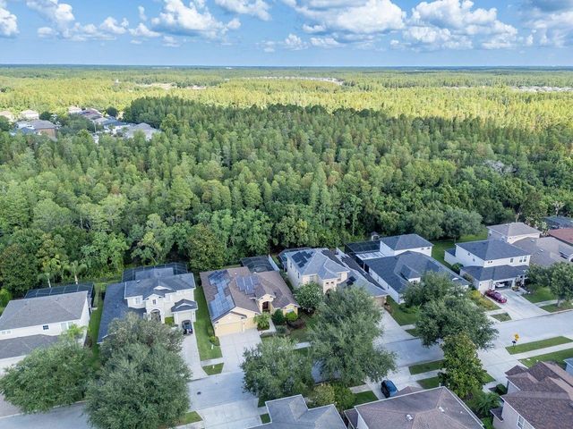 3815 MISTY WILLOW WAY, Lutz, FL 33558