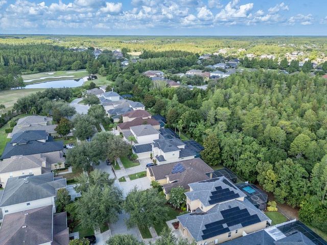 3815 MISTY WILLOW WAY, Lutz, FL 33558