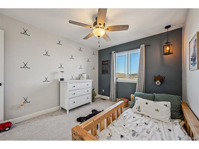 2959 Night Song Way, Castle Rock, CO 80109