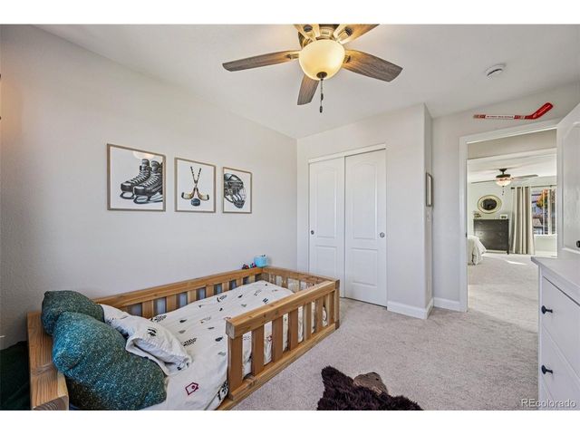 2959 Night Song Way, Castle Rock, CO 80109