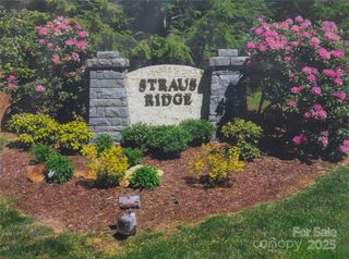 99 Ridgetop Circle, Brevard, NC 28712