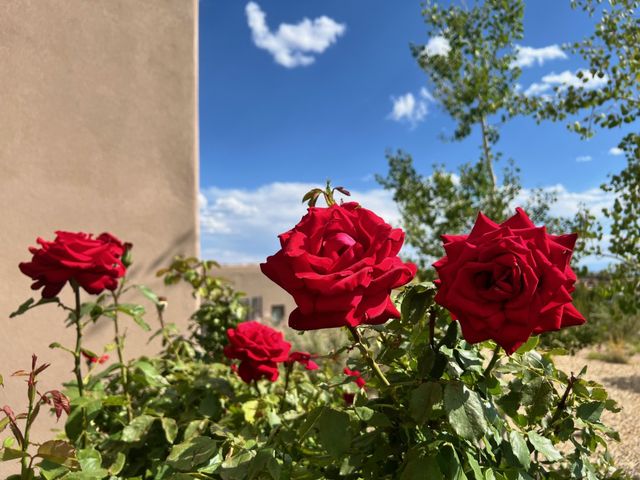 12 Via Optima, Santa Fe, NM 87507