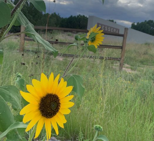 12 Via Optima, Santa Fe, NM 87507