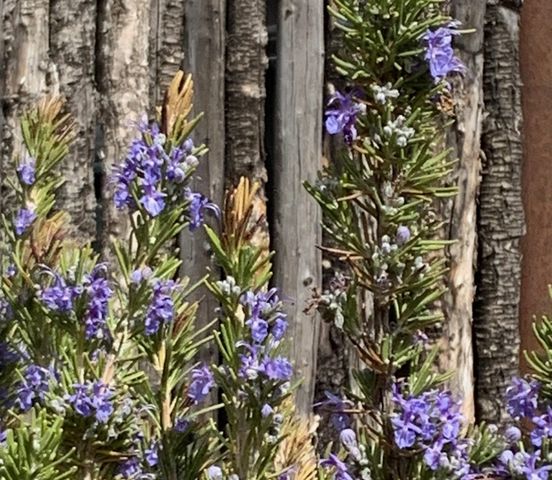 12 Via Optima, Santa Fe, NM 87507