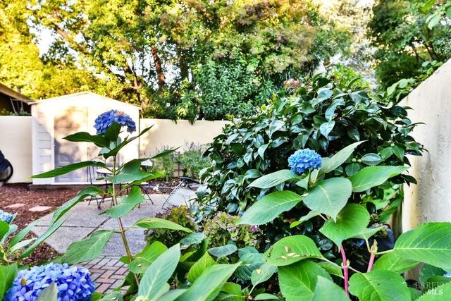 195 Guadalupe Dr, Sonoma, CA 95476