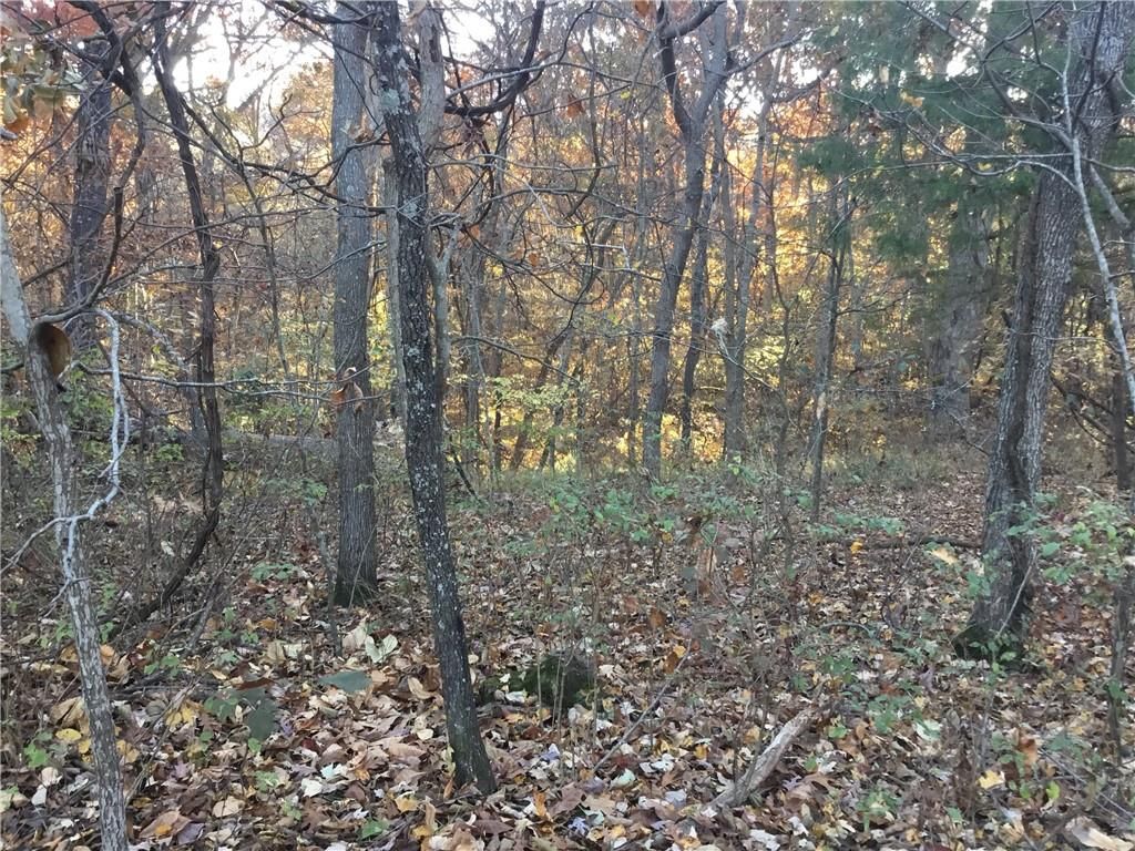 Buttercup Road, Rogers, AR 72756