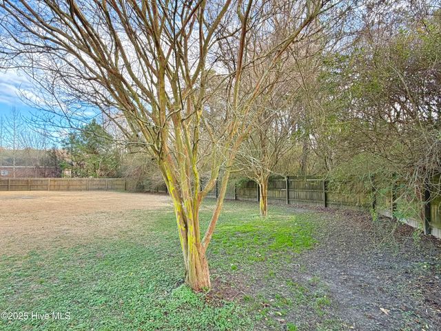 207 Dogwood Estates Lane, Goldsboro, NC 27534