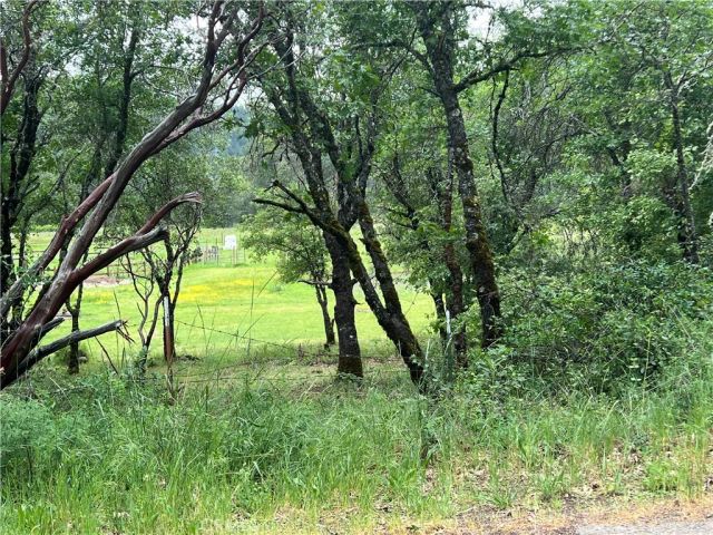 8734 Sulphur Creek Road, Kelseyville, CA 95451