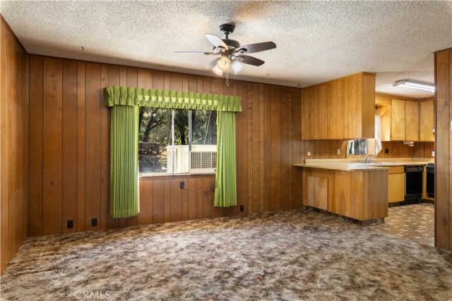 8734 Sulphur Creek Road, Kelseyville, CA 95451