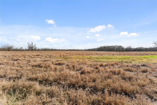 Tract 2 Cr 117, Hungerford, TX 77448