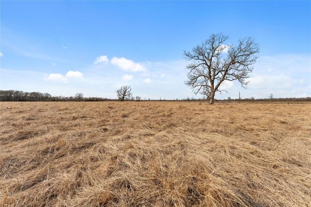 Tract 2 Cr 117, Hungerford, TX 77448