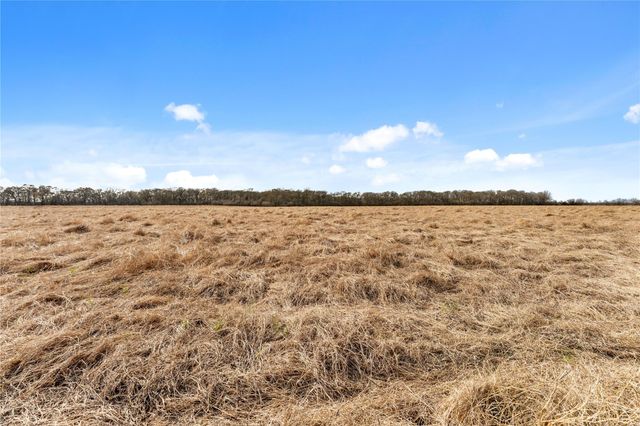 Tract 2 Cr 117, Hungerford, TX 77448