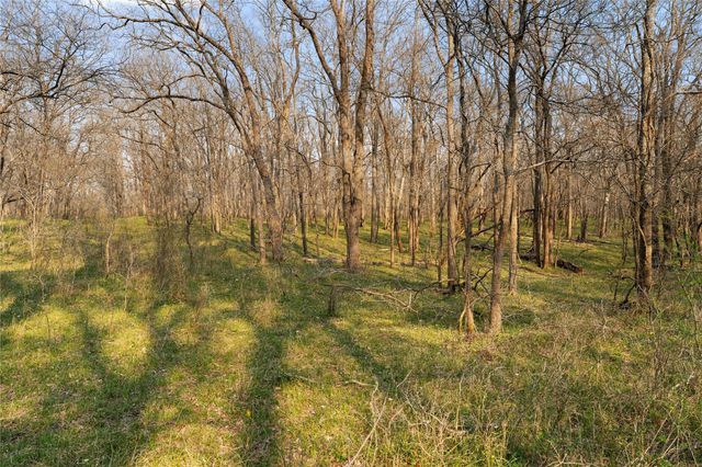 Tract 2 Cr 117, Hungerford, TX 77448