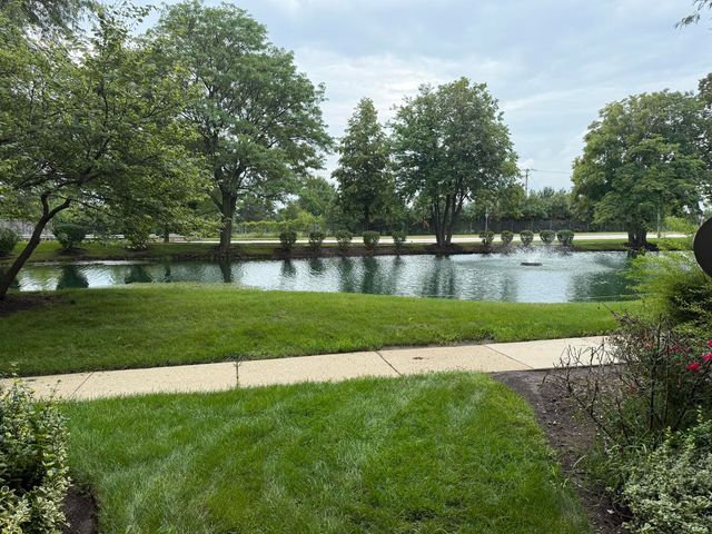 2213 Wharf Drive 401, Woodridge, IL 60517