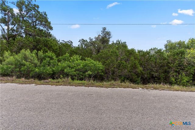 204 Freedom Street, Fischer, TX 78623